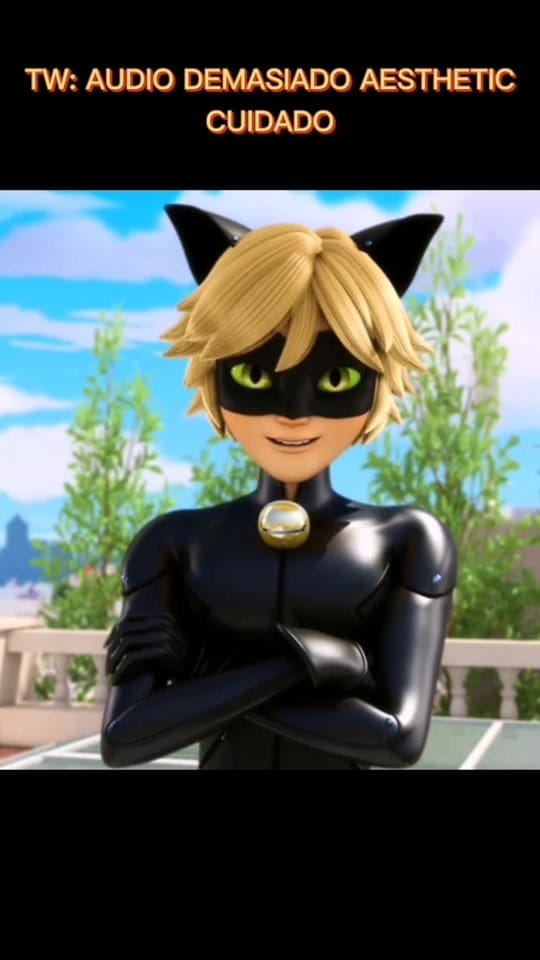 Post 7 by miraculous team xD on TikTok (video)