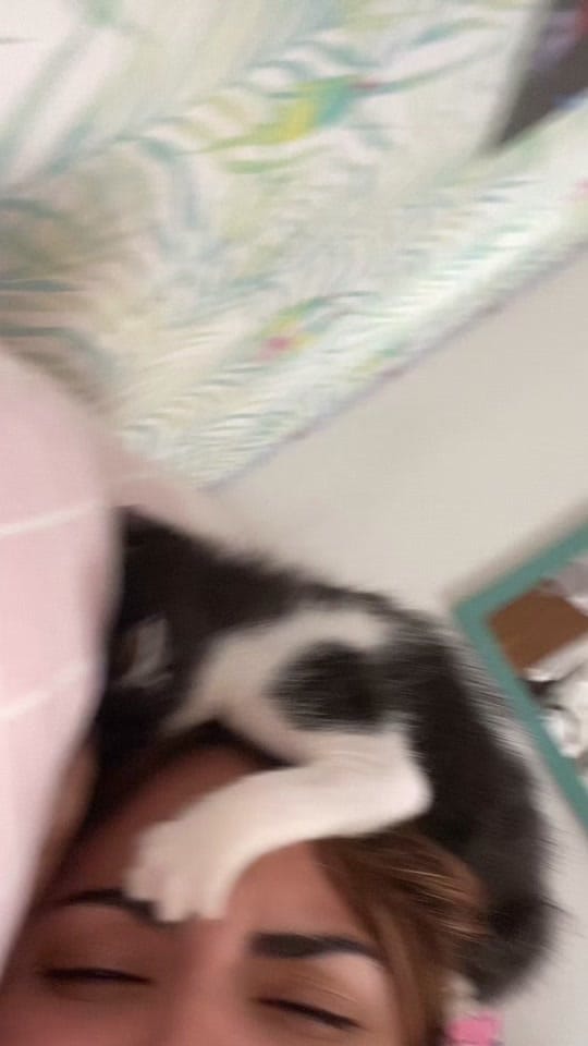 Post 5 by blancurria🪼 on TikTok (video)