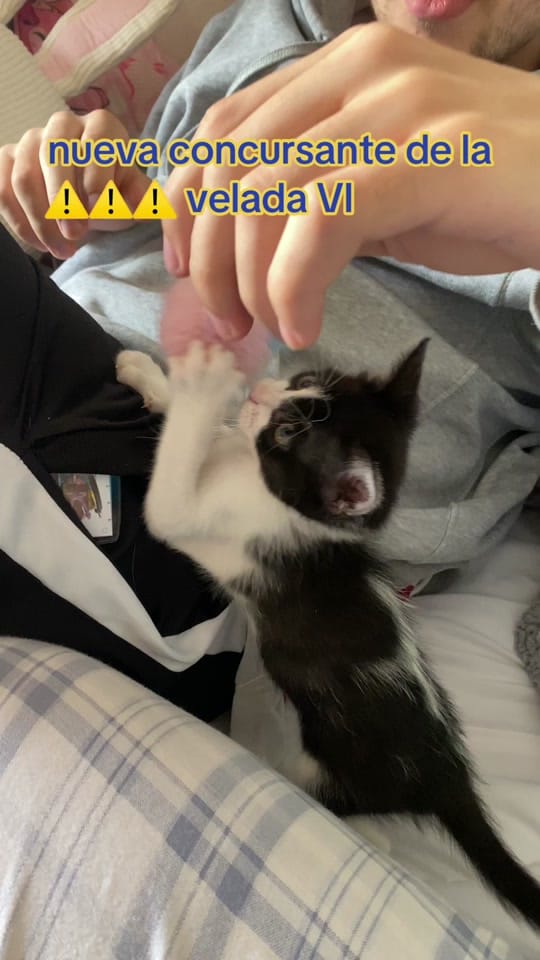 Post 4 by blancurria🪼 on TikTok (video)