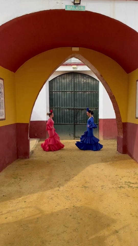 Post 10 by Moda Flamenca Cristian on TikTok (video)