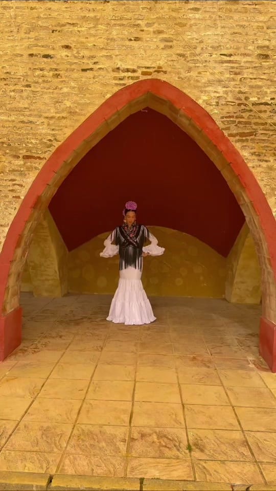 Post 9 by Moda Flamenca Cristian on TikTok (video)