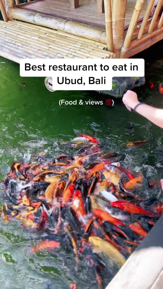 Post 9 by Mau | Creator✨ on TikTok (video)
