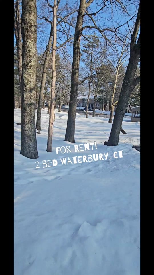 Post 3 by 🏡Cindy Santiago- CT Realtor🏡 on TikTok (video)