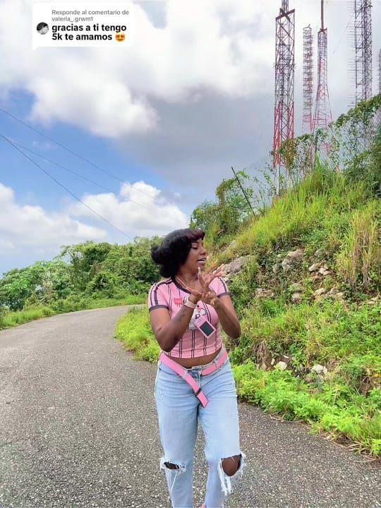 Post 4 by 🍯honeyEz🎀 on TikTok (video)