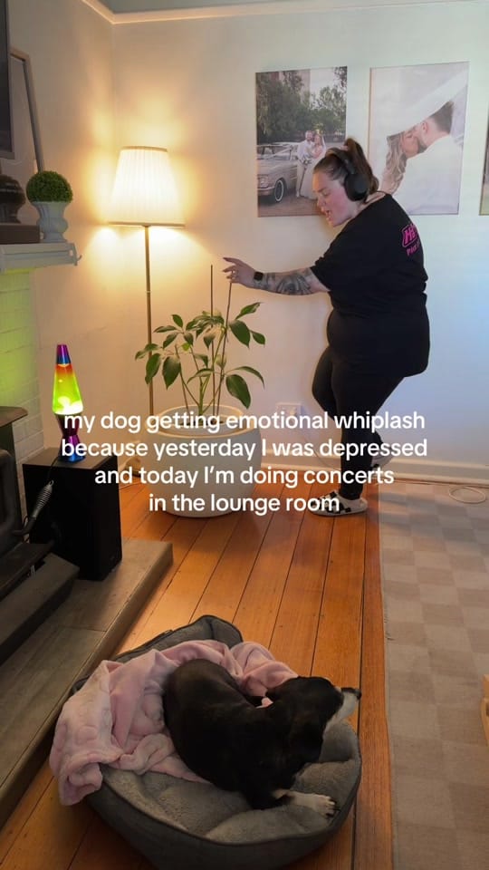 Post 8 by Ainsley on TikTok (video)