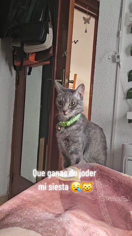 Post 10 by 🇵🇪𝕰𝖘𝖙𝖊𝖋𝖆𝖓𝖎𝖆 𝕽🇪🇦 on TikTok (video)