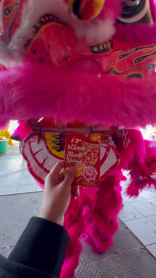 Post 1 by adventures.withrina on TikTok (video)