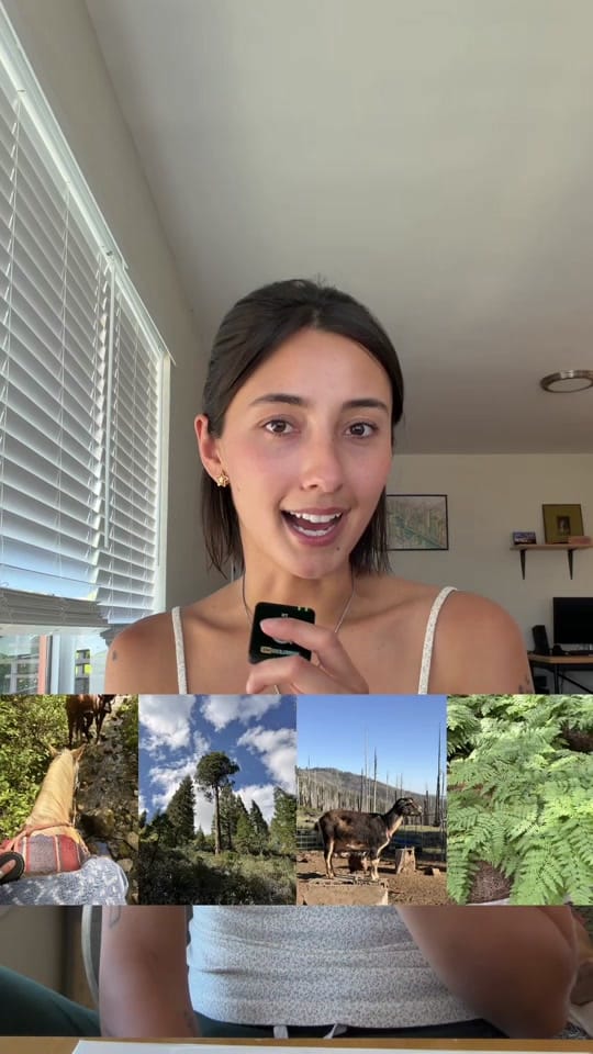 Post 7 by _milaholmes_ on TikTok (video)