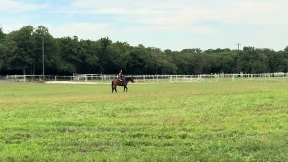 Post 2 by Hayley Warnken | REALTOR® on TikTok (video)