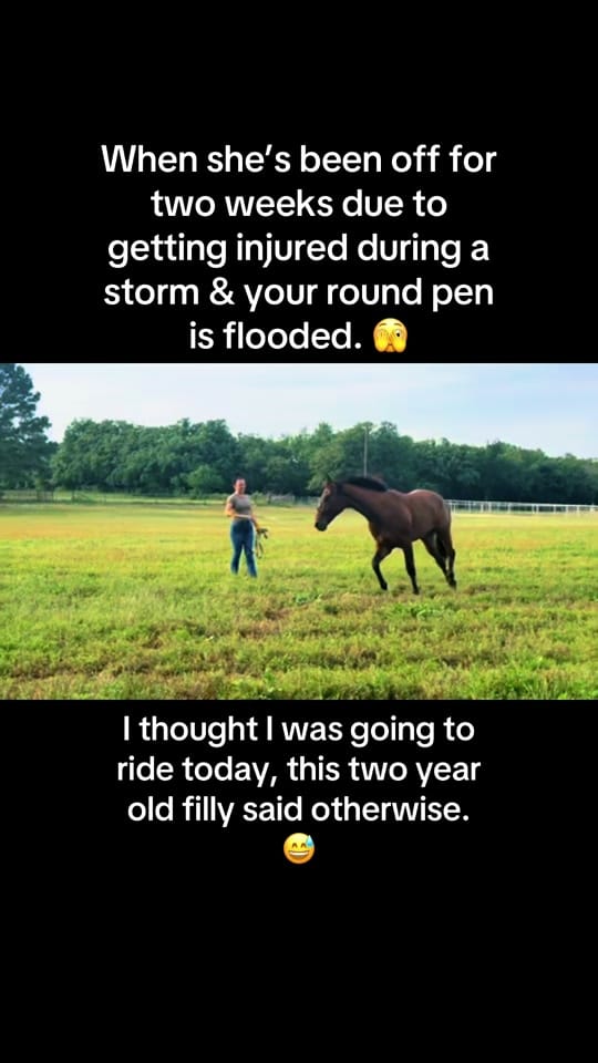 Post 3 by Hayley Warnken | REALTOR® on TikTok (video)
