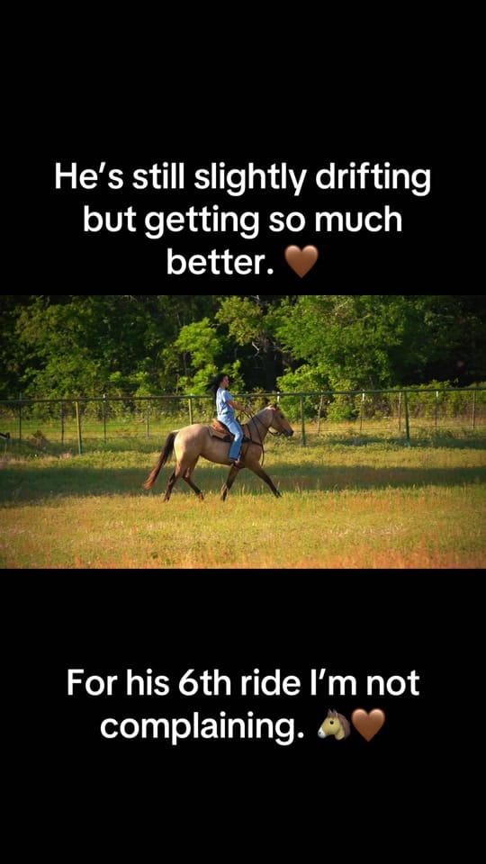 Post 6 by Hayley Warnken | REALTOR® on TikTok (video)