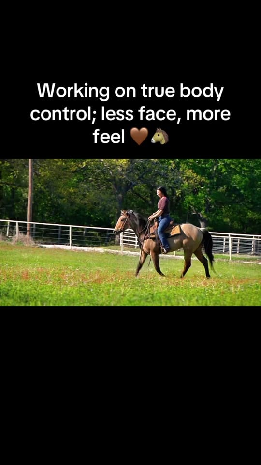 Post 9 by Hayley Warnken | REALTOR® on TikTok (video)
