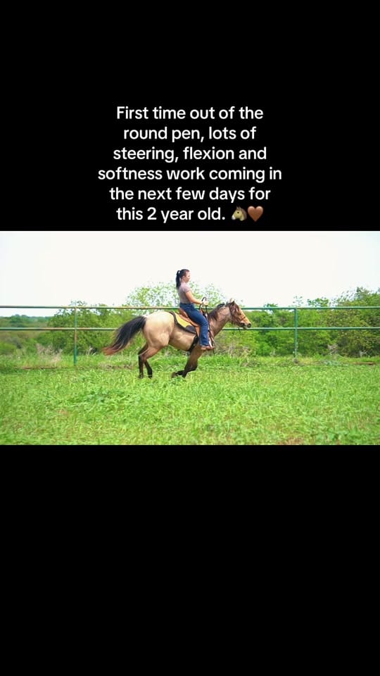 Post 10 by Hayley Warnken | REALTOR® on TikTok (video)