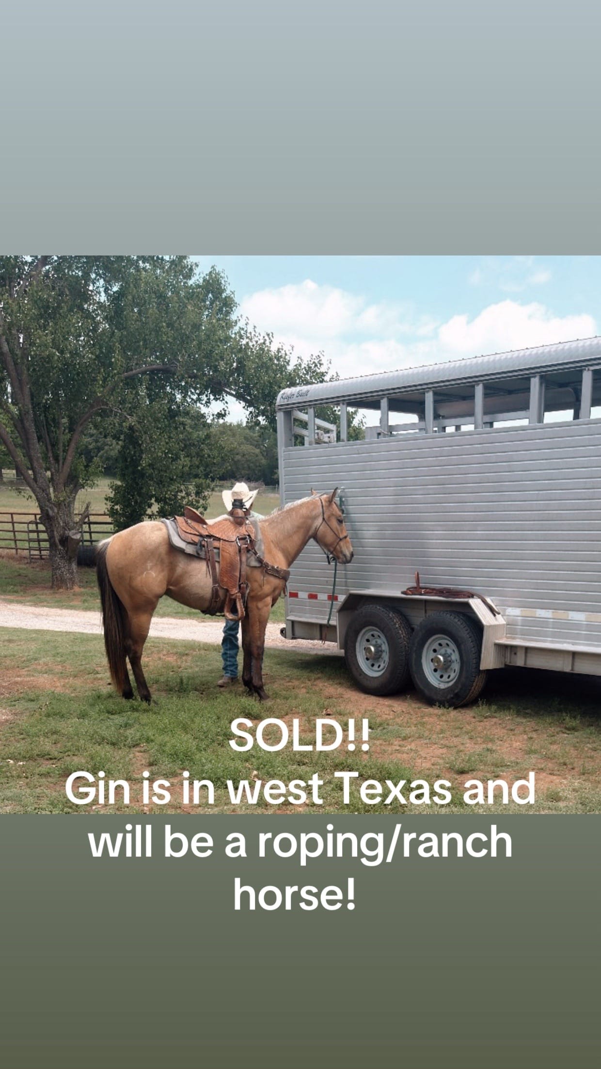 Post 4 by Hayley Warnken | REALTOR® on TikTok (video)