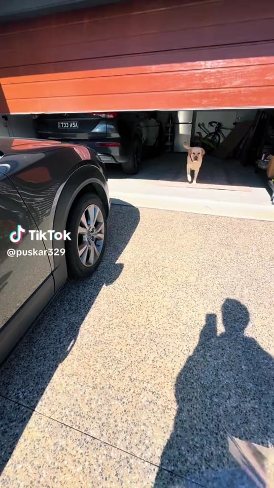 Post 5 by ᎯℒℐЅℋᎯ ᥫ᭡🪬 on TikTok (video)
