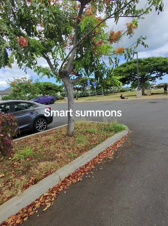 Post 2 by Soldier to soldier Hawaii on TikTok (video)