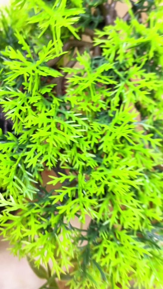 Post 10 by goodsx.fuuk on TikTok (video)