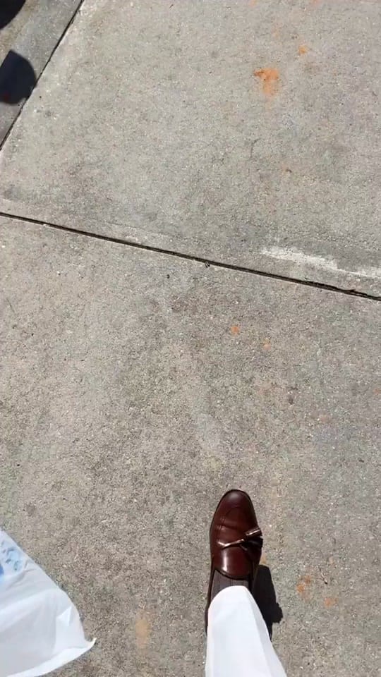 Post 7 by Tim Hardeman on TikTok (video)