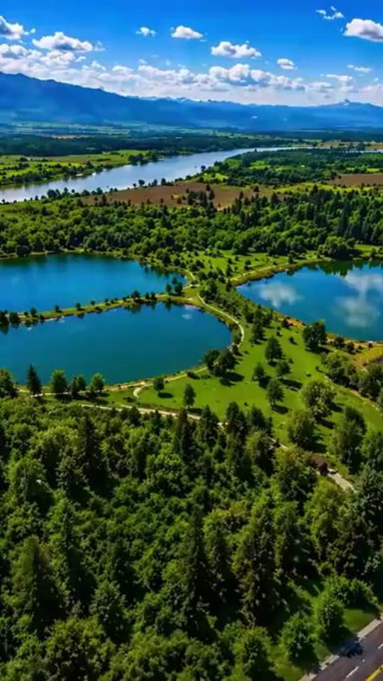 Post 2 by https://mbg.ge on TikTok (video)