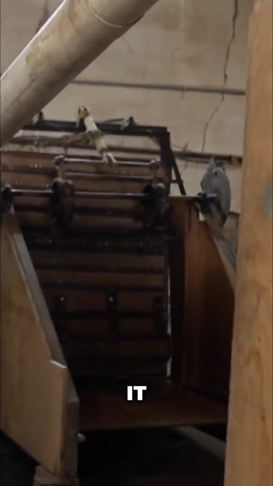 Post 6 by Corey Thompson on TikTok (video)