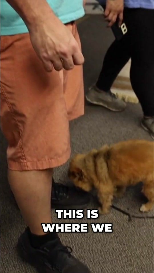 Post 3 by Corey Thompson on TikTok (video)