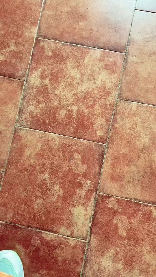 Post 10 by Nico Caro on TikTok (video)