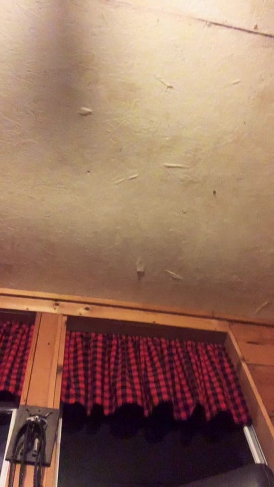 Post 7 by Adam Broussard on TikTok (video)