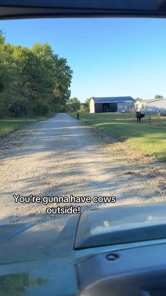 Post 7 by Andrew Wolfe on TikTok (video)