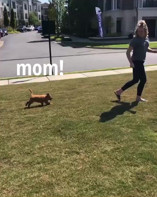 Post 6 by Finn Dower on TikTok (video)
