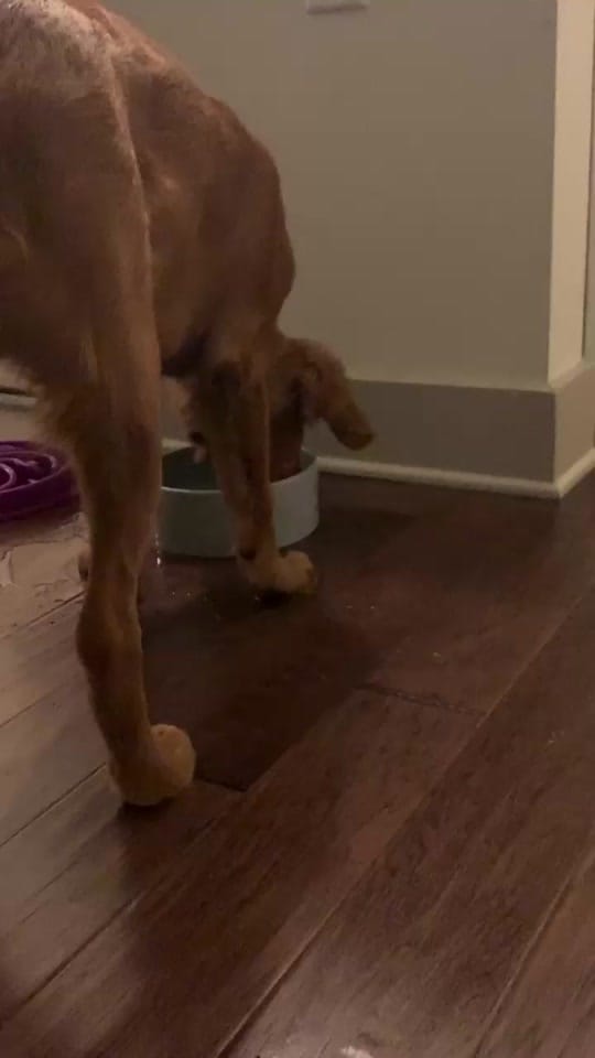 Post 7 by Finn Dower on TikTok (video)