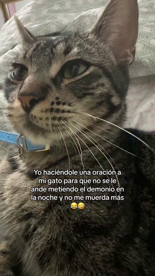 Post 9 by Joanna_herrera17 on TikTok (video)