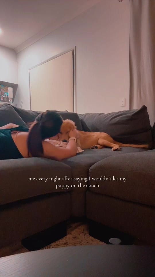 Post 4 by millissalauren on TikTok (video)