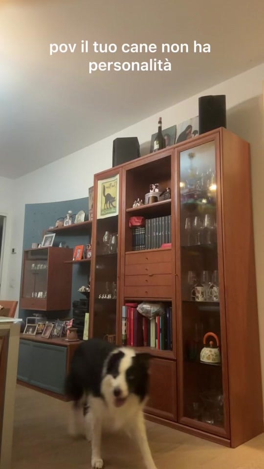 Post 5 by Sus on TikTok (video)