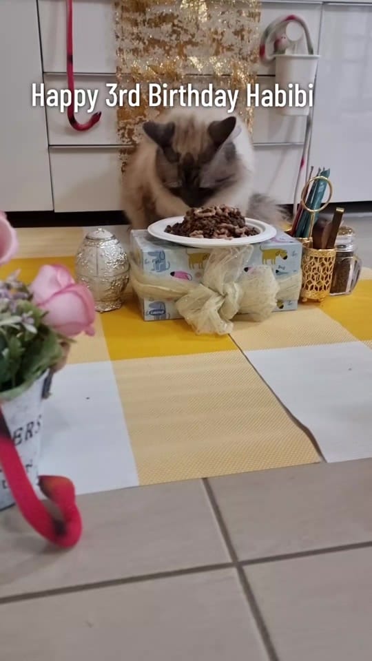 Post 1 by Proudly Australian on TikTok (video)