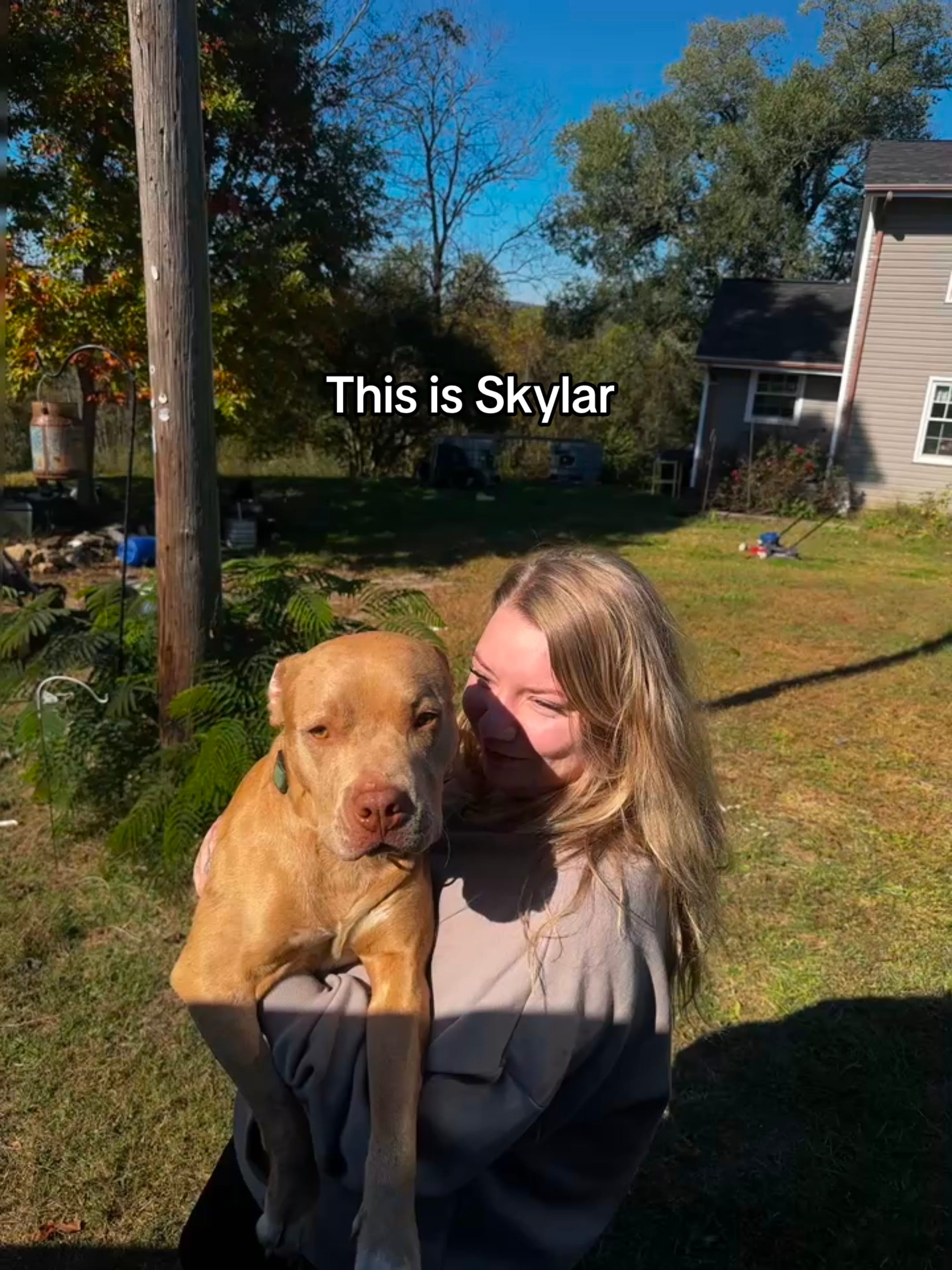 Post 9 by Carlos V on TikTok (video)