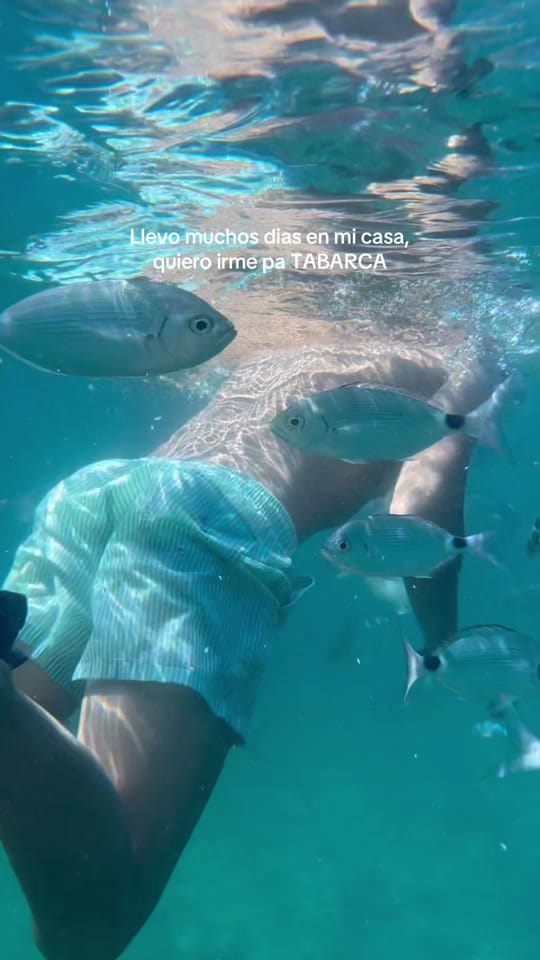 Post 6 by carlos briet on TikTok (video)