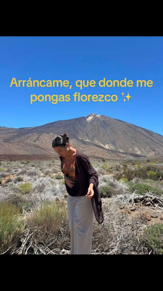 Post 7 by mery on TikTok (video)