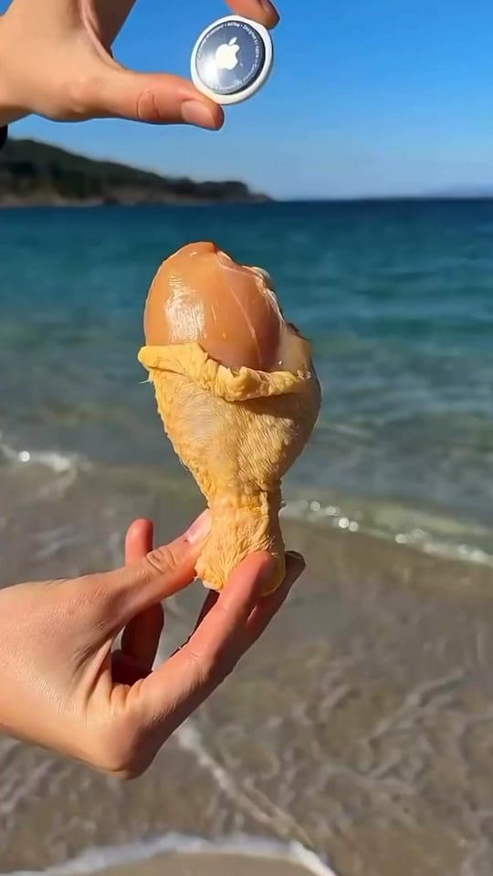 Post 7 by Ben Fieman on TikTok (video)
