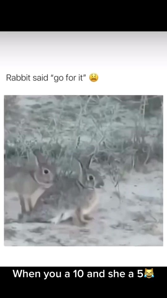 Post 5 by Tyler on TikTok (video)