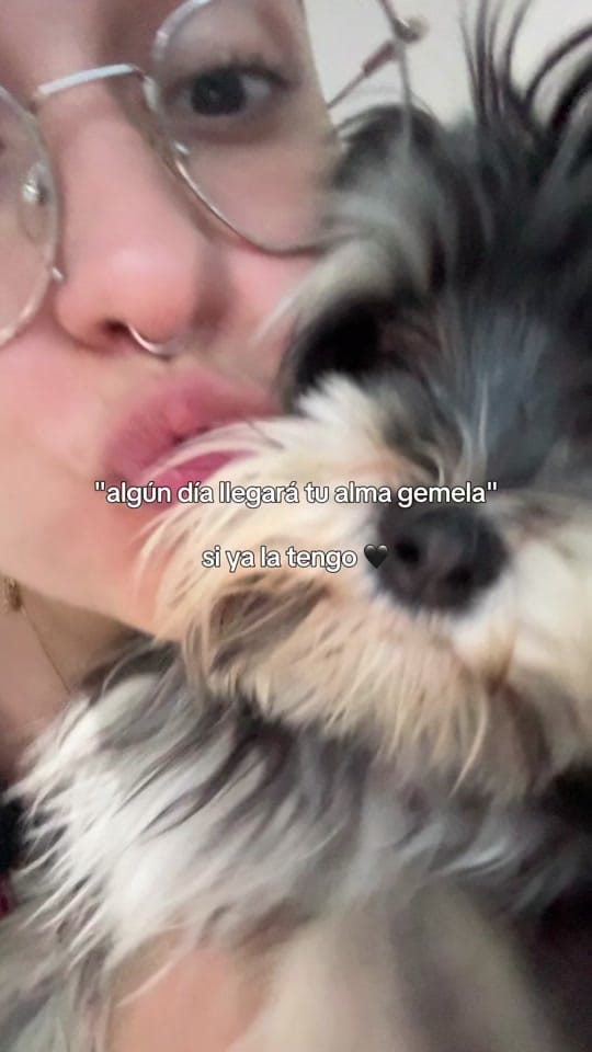 Post 7 by María Domínguez on TikTok (video)