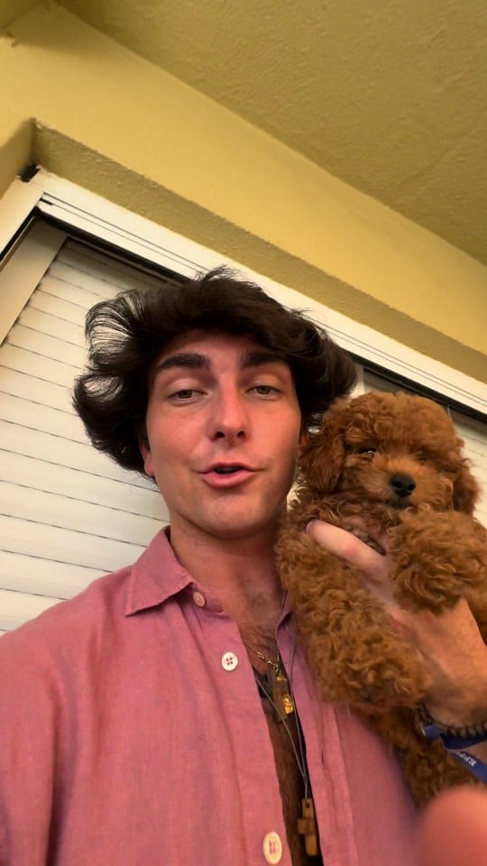 Post 6 by Alberto Gonzalez on TikTok (video)