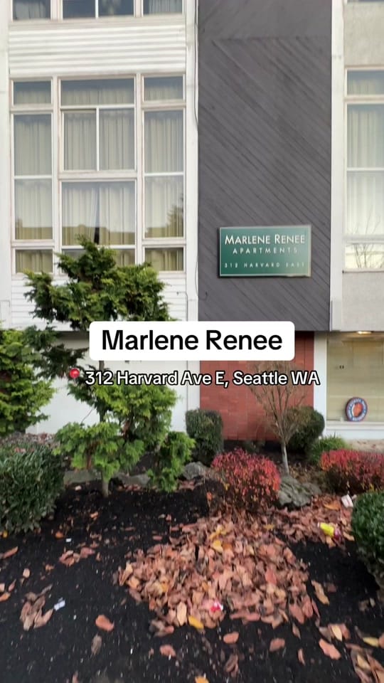 Post 2 by Seattle Rents on TikTok (video)