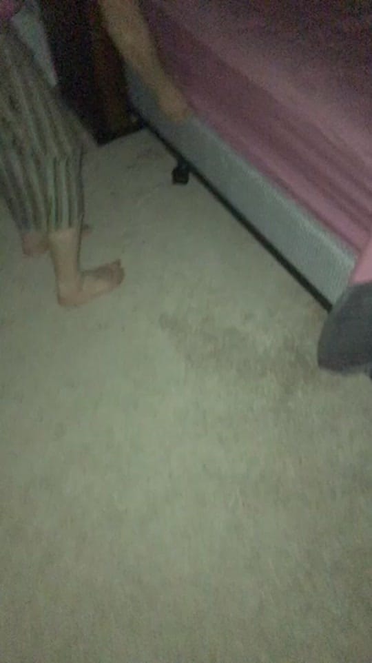 Post 10 by Haley McLelland on TikTok (video)