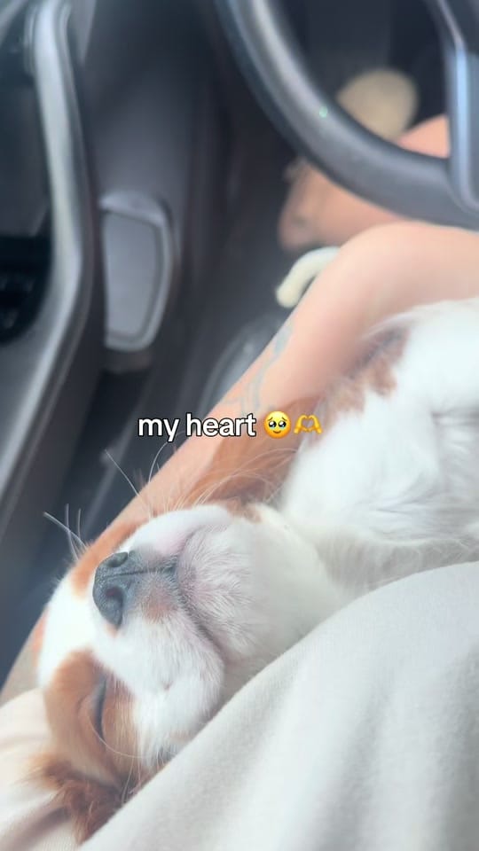 Post 1 by SHNAILZ on TikTok (video)