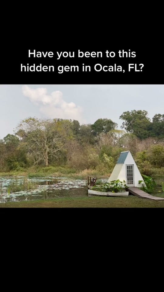 Post 9 by Andrea of Ocala on TikTok (video)