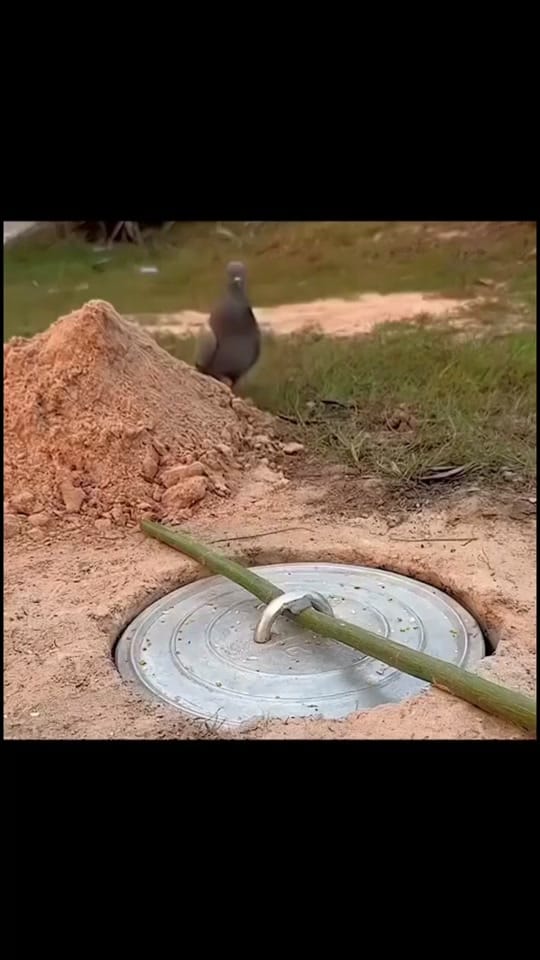 Post 5 by 🔥JuanitoJR10🔥 on TikTok (video)