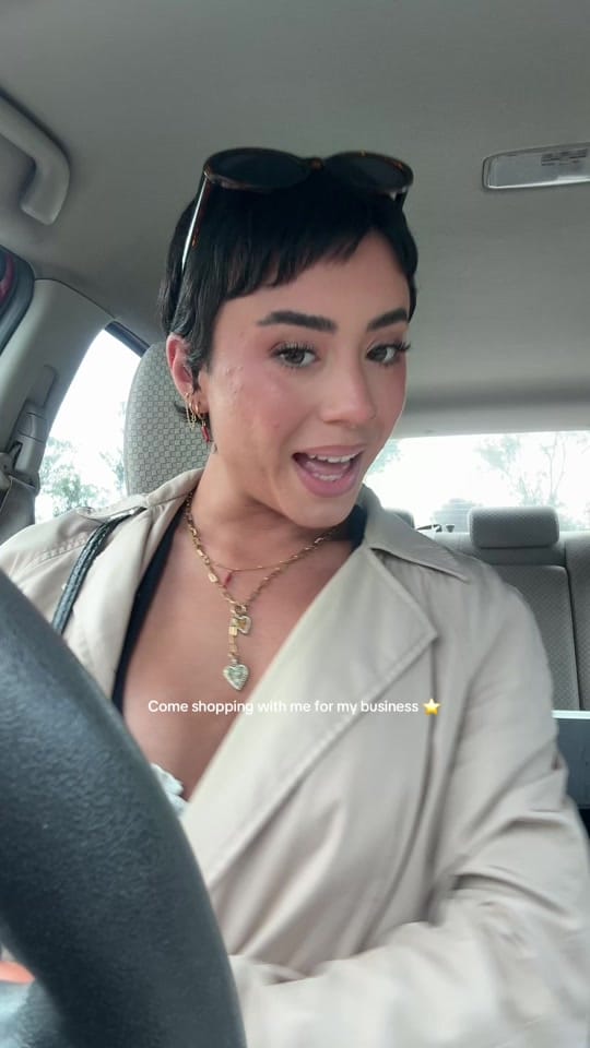 Post 9 by Lily Browne MUA 🧚🏼‍♀️ on TikTok (video)