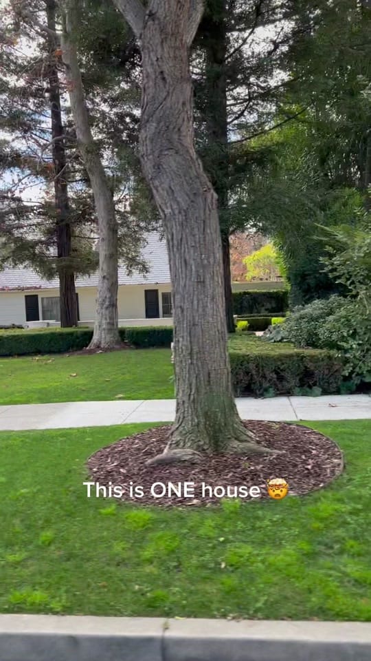 Post 8 by Ariana Berson on TikTok (video)