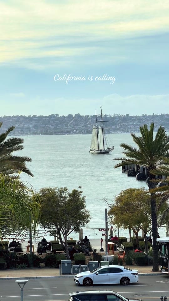 Post 3 by Ariana Berson on TikTok (video)