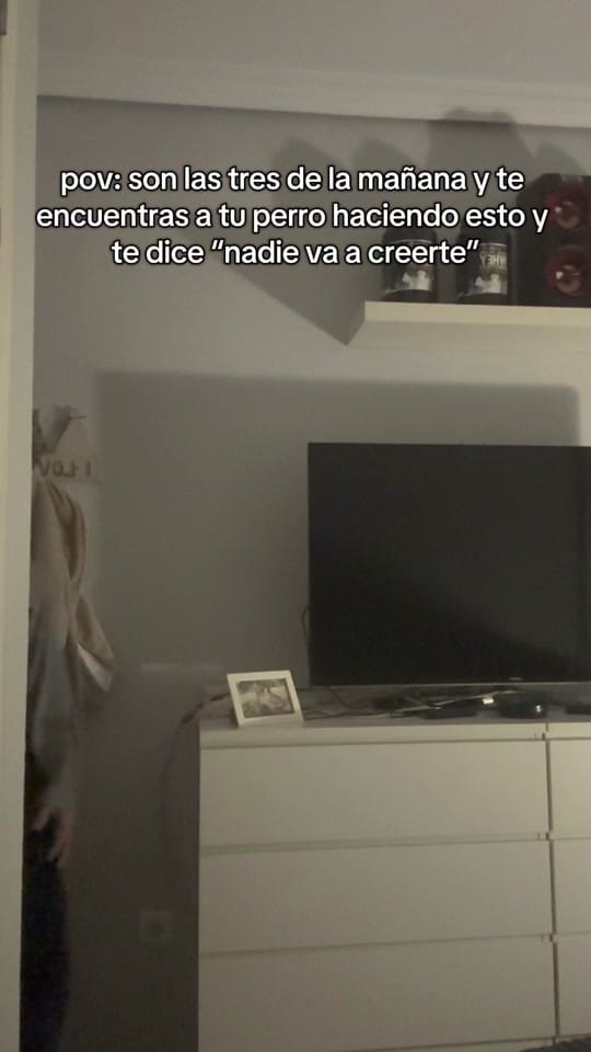 Post 8 by Javi 🎍 on TikTok (video)